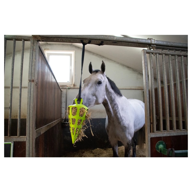 Hooi Slow Feeder Fun & Flex Carrot Groen Hooi Slow Feeder Fun & Flex Carrot Groen