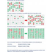 copy of