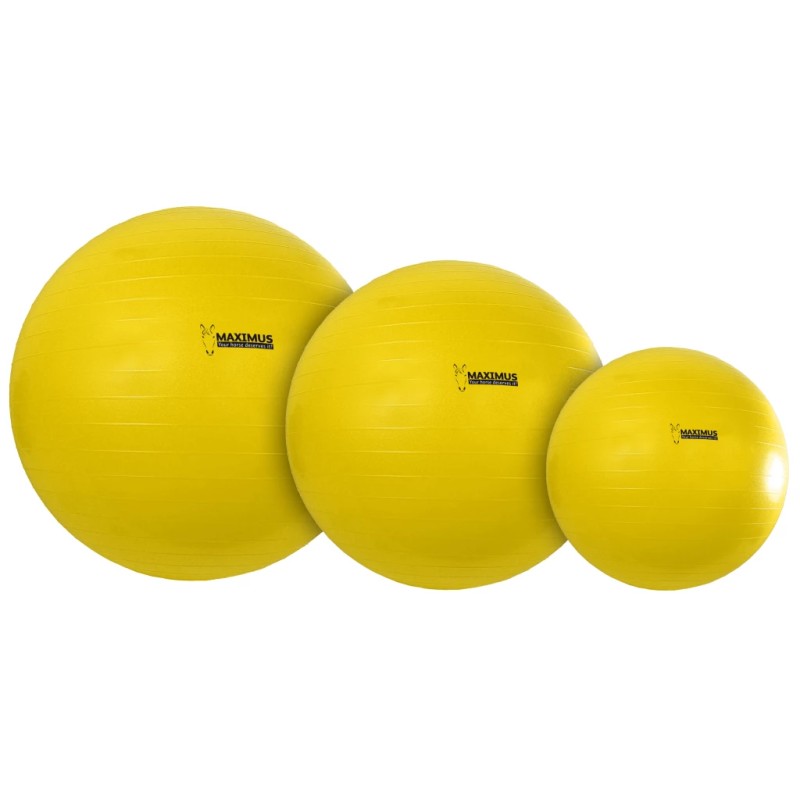 Maximus Power Play Ball 75 cm Maximus Power Play Ball 75 cm