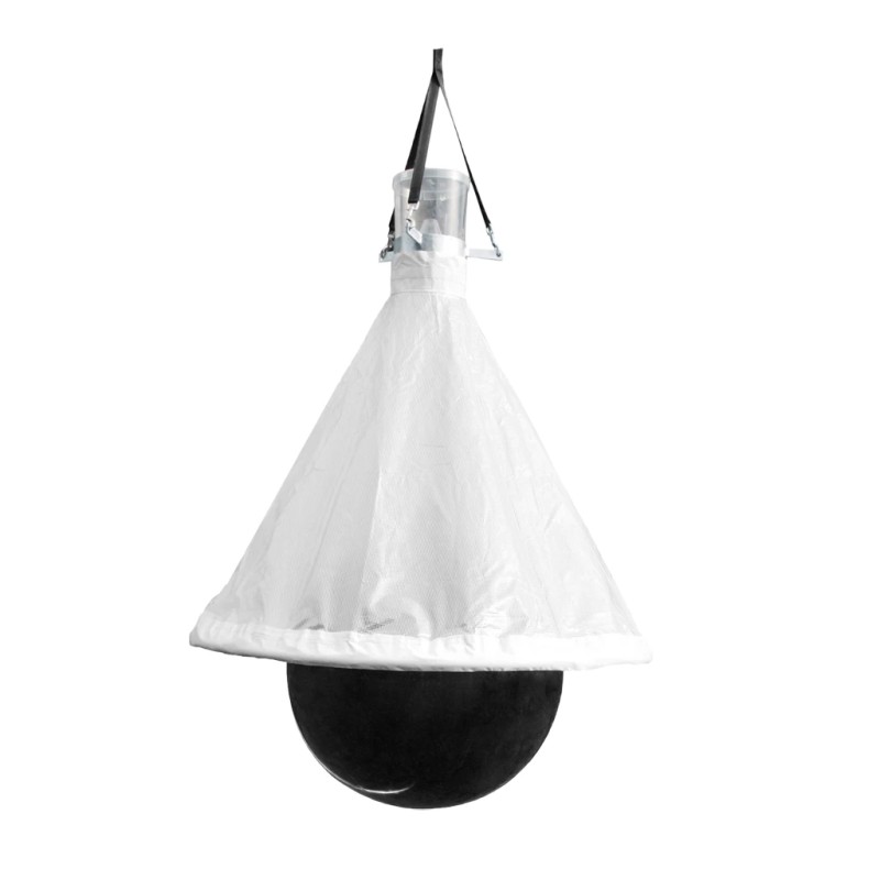 TaonX Dazen- /Wespenval Mini TaonX Dazen- /Wespenval Mini